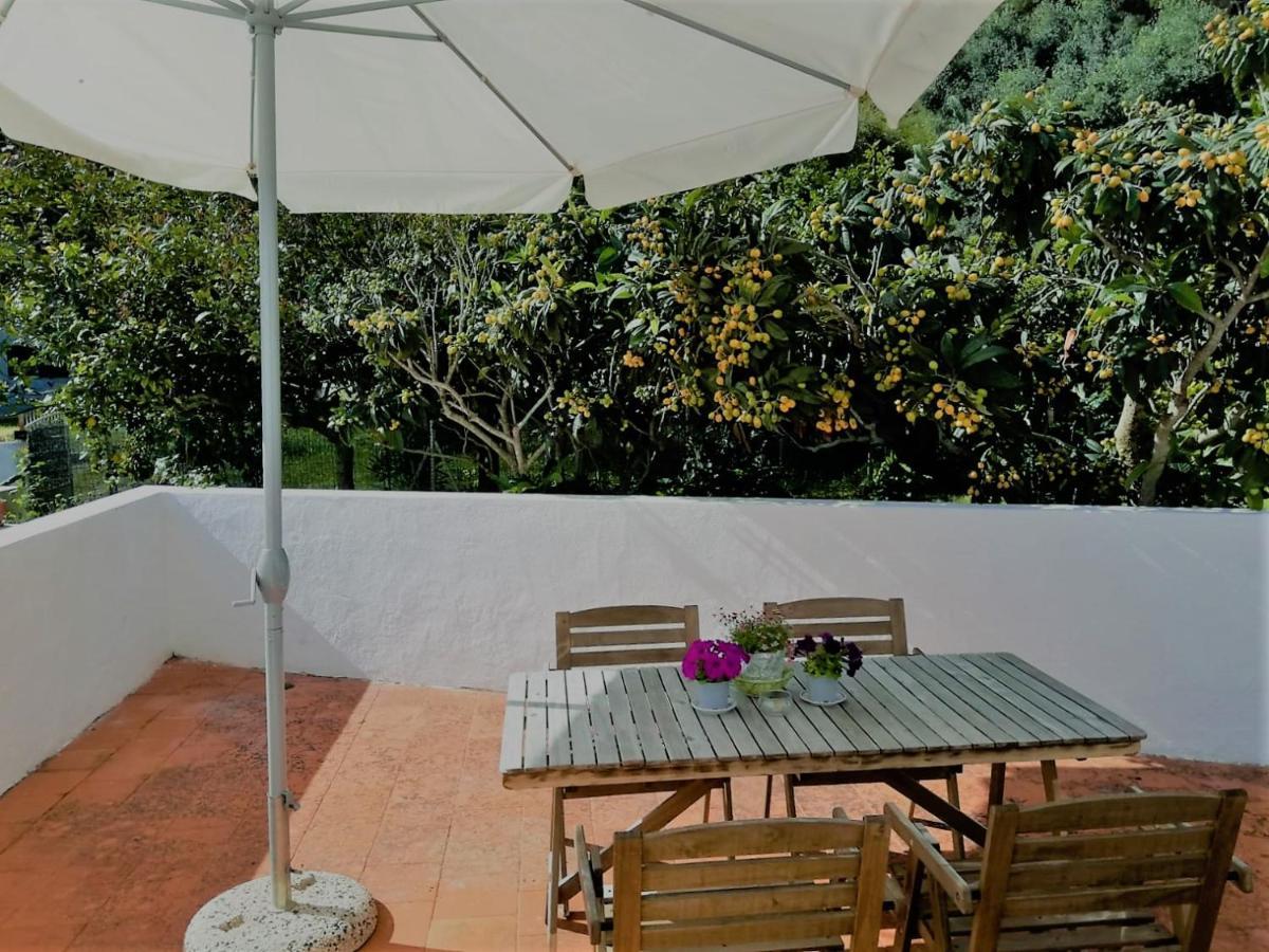 Cala Vinagra House Bed and Breakfast Carloforte  Buitenkant foto